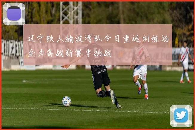 辽宁铁人楠波湾队今日重返训练场全力备战新赛季挑战