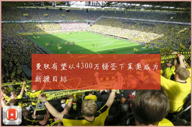 曼联有望以4300万镑签下莱奥成为新援目标